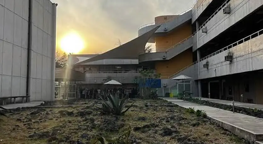 Artes Cinematográficas, foto 7