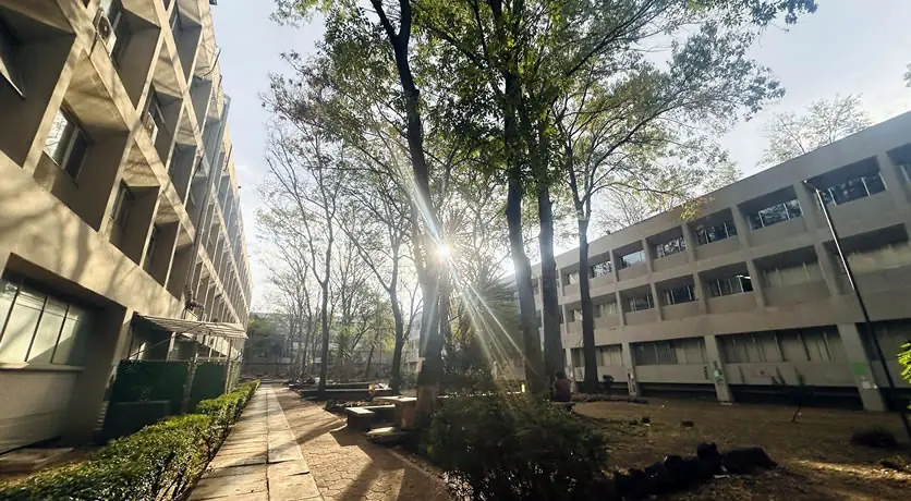 Facultad de Ciencias, foto 5