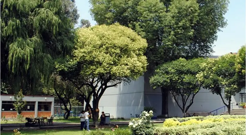 Facultad de Música, foto 8