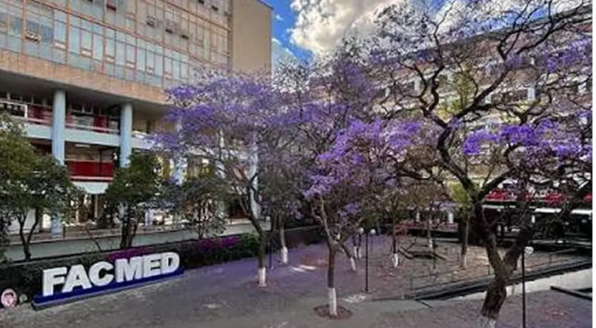 Facultad de Medicina, foto 7